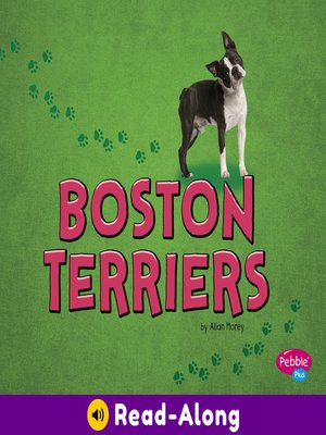 cover image of Boston Terriers